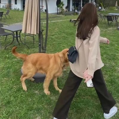 角头:大桥头